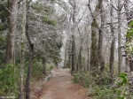 Hot Springs National Park Ice Day Dead Chief Trail