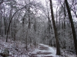 Hot Springs National Park Ice Snow Short Cut Trail