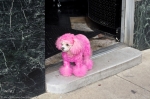 Hot Springs Central Ave Pink Poodle